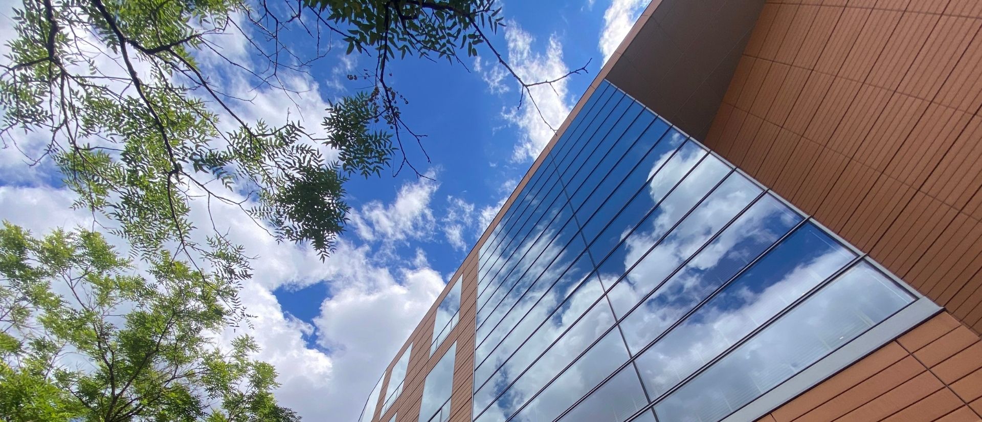 Looking up at the clouds, trees, and top of a building on a sunny day.