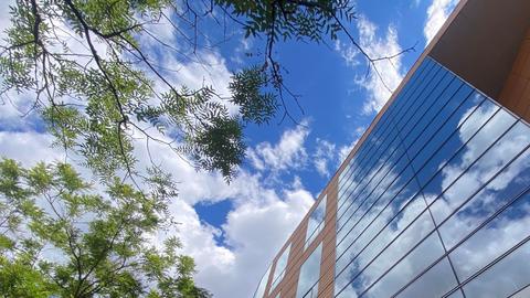Looking up at the clouds, trees, and top of a building on a sunny day.