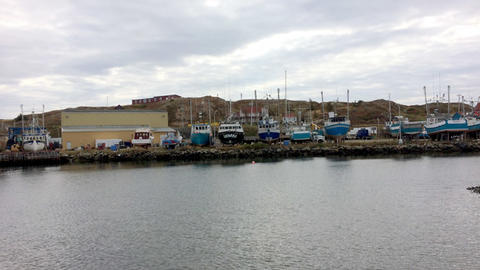 Images of Newfoundland travel studio