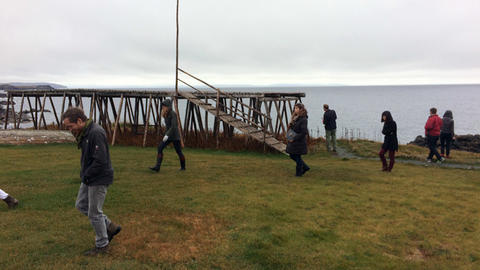 Images of Newfoundland travel studio