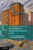 Book cover for The Cambridge Companion to Business and Human Rights Law