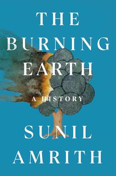 Book cover for The Burning Earth: A History.