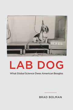 Book cover for Lab Dog.