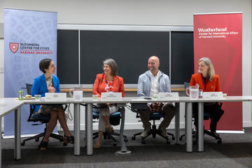 Four panelists sit at a table in front of a chalkboard, with Harvard University event banners behind them, engaged in a discussion.