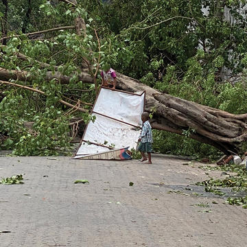 Two kids playing near a fallen tree and sign after a storm