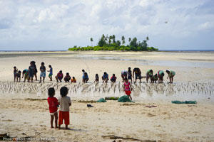 Image of children watching a mangrove planting