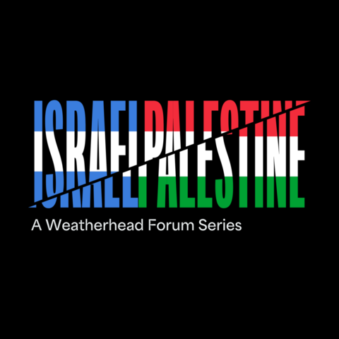 The words Israel and Palestine are side by side in the colors of their flags on a black background with a line slicing through them diagonally and shifting the letters.