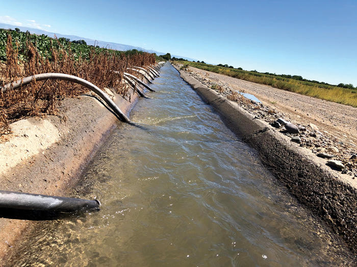Siphon tubes line the ditch on the family farm
