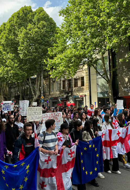 A group of people holding Georgian and EU flags, and signs in a protest, gathered on a tree-lined street.