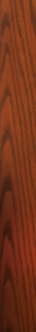 blum-beth.png