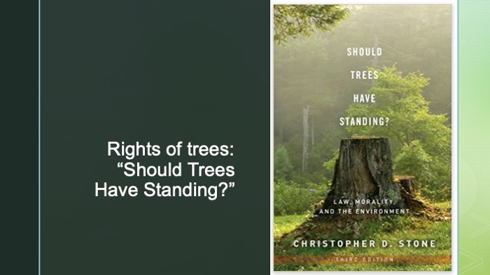 Slide of Christopher Stone's book cover